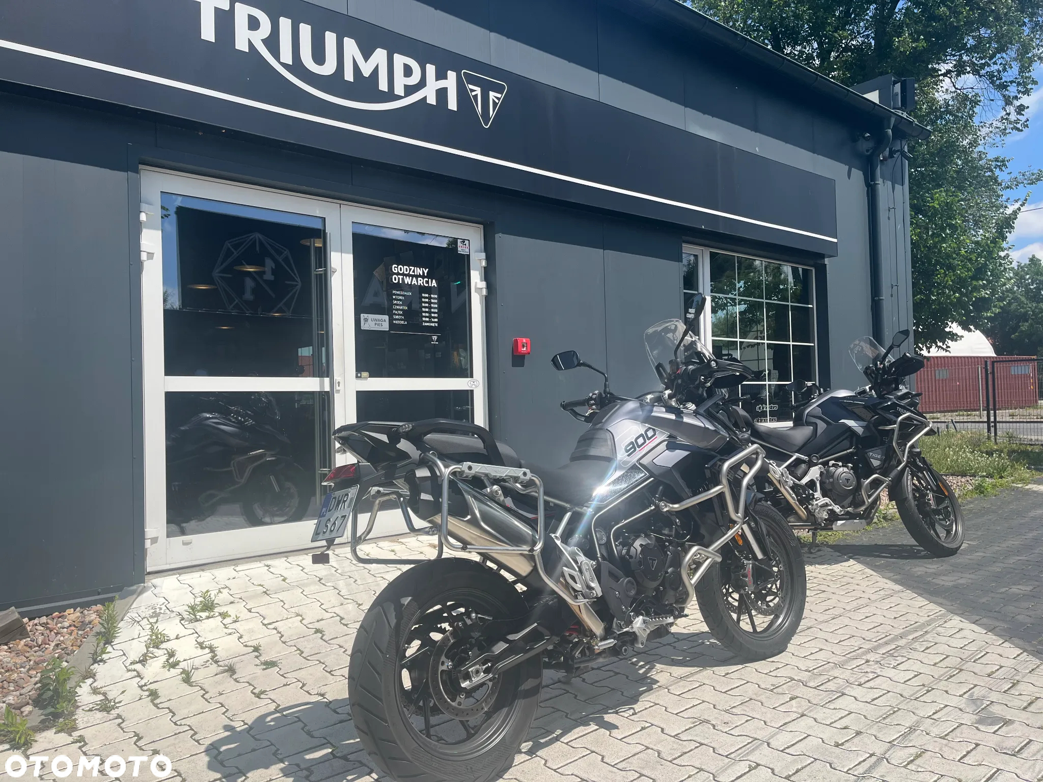 Triumph Tiger