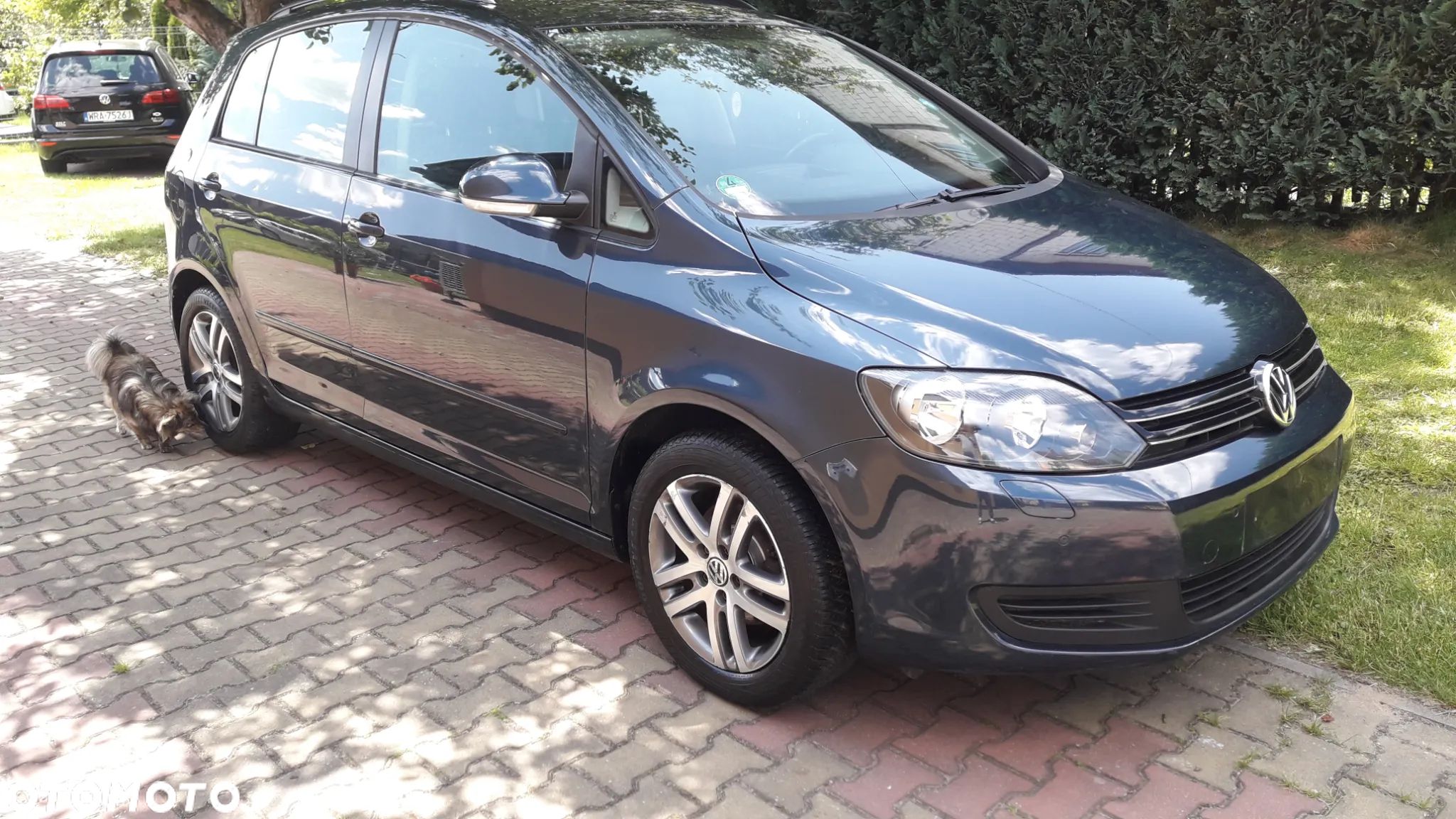Volkswagen Golf Plus 1.4 Edition - 1