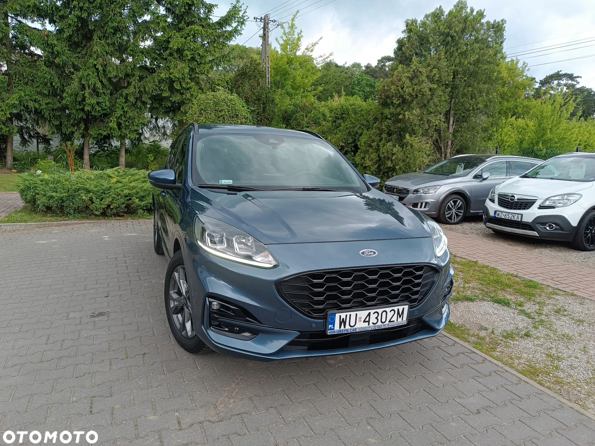 Ford Kuga 1.5 EcoBlue FWD ST-Line X - 18