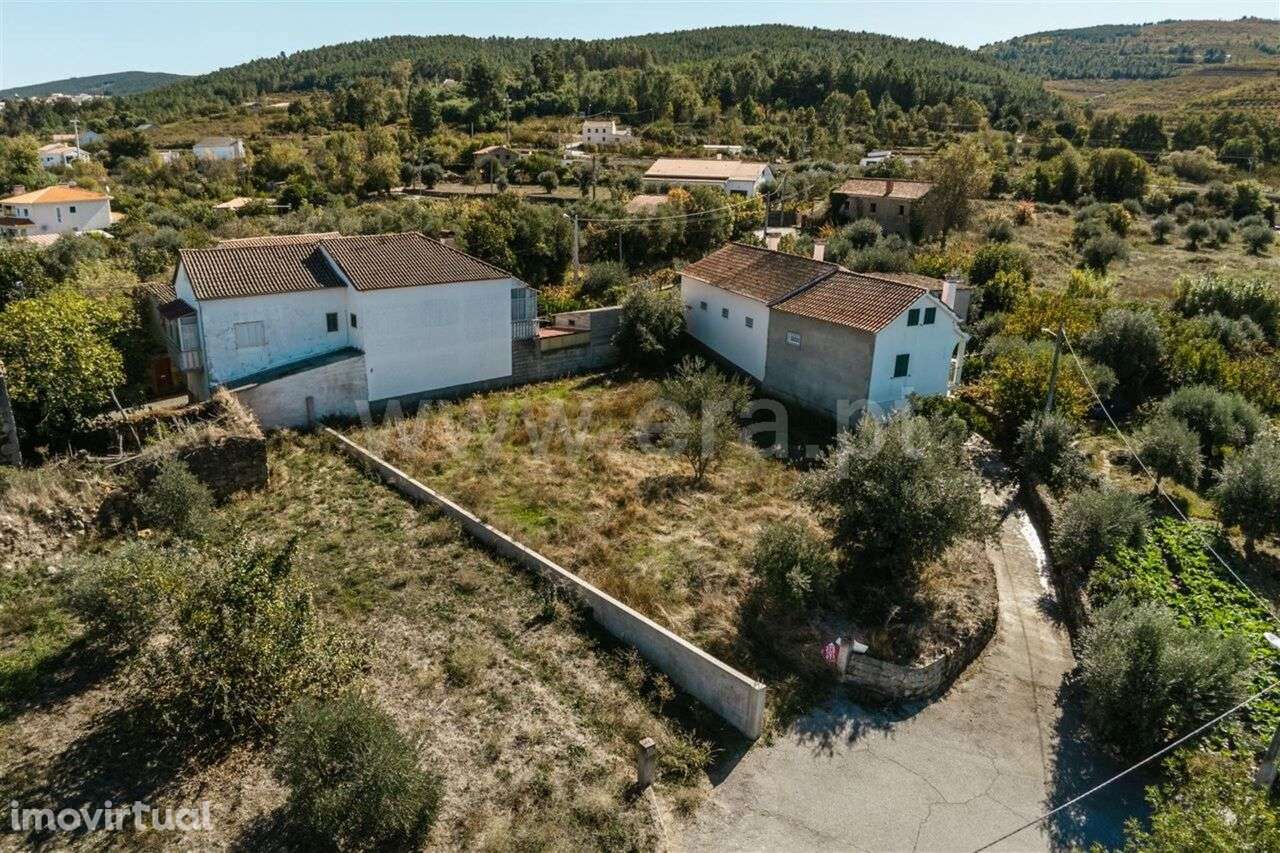 Lote / Fundão, Donas - Grande imagem: 2/2