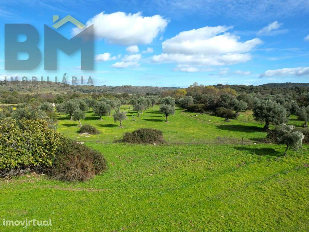 Quinta com 3ha em Oledo, Idanha-a-Nova - Grande imagem: 5/30