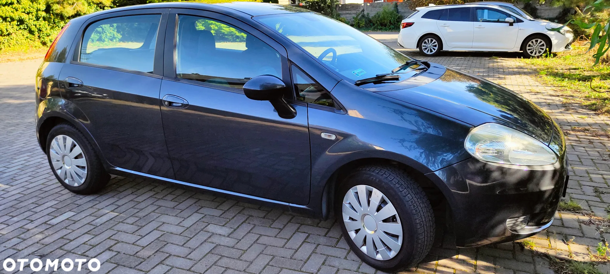 Fiat Punto - 7