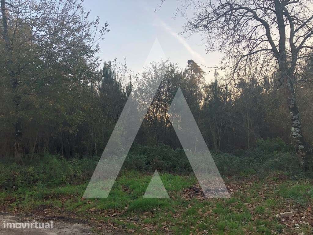 Terreno rústico localizado numa zona industrial em Valongo do Vouga - Grande imagem: 2/8