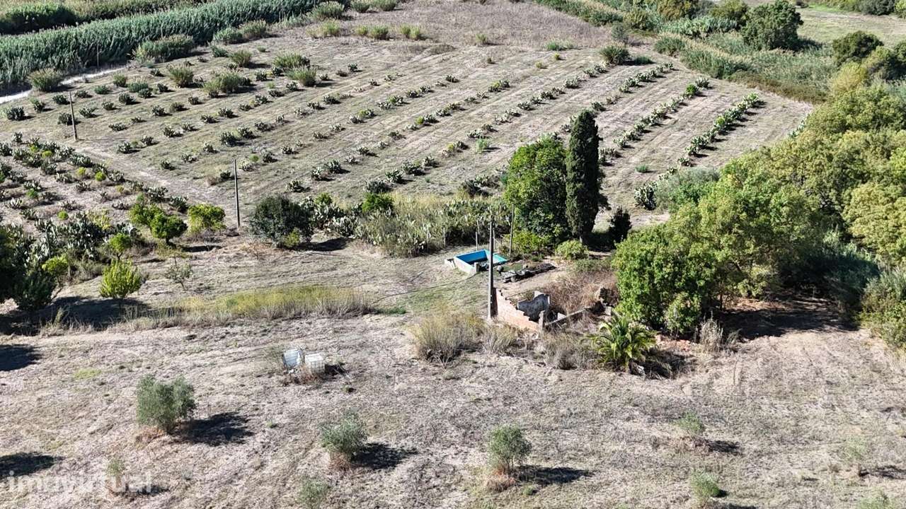 Terreno urbano com Potencial de Desenvolvimento em Santarém - Grande imagem: 3/20