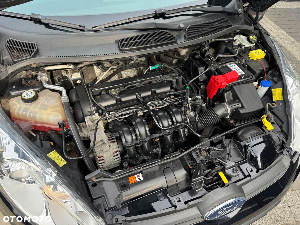 Ford Fiesta 1.25 Gold X - 8