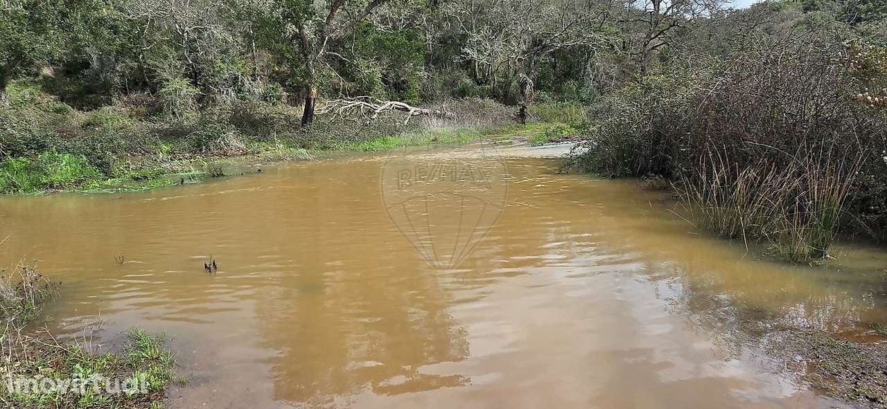 Terreno  para venda - Grande imagem: 3/38