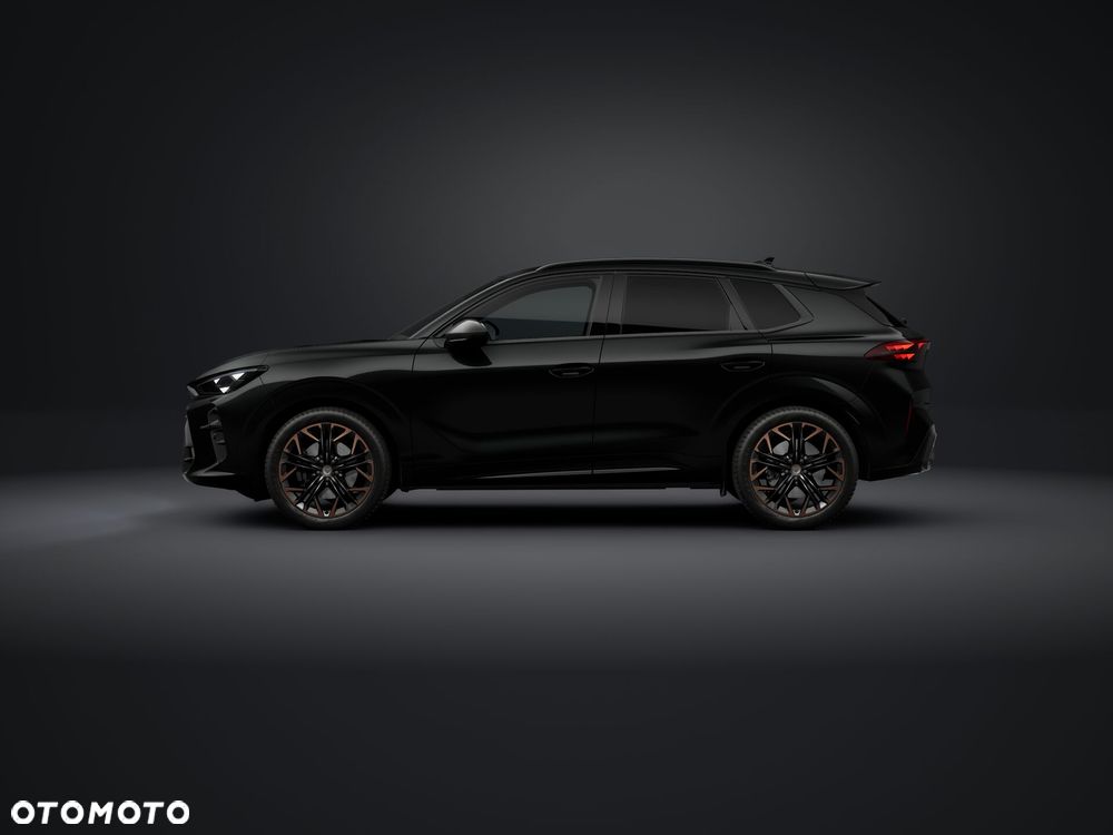 Cupra Terramar - 2