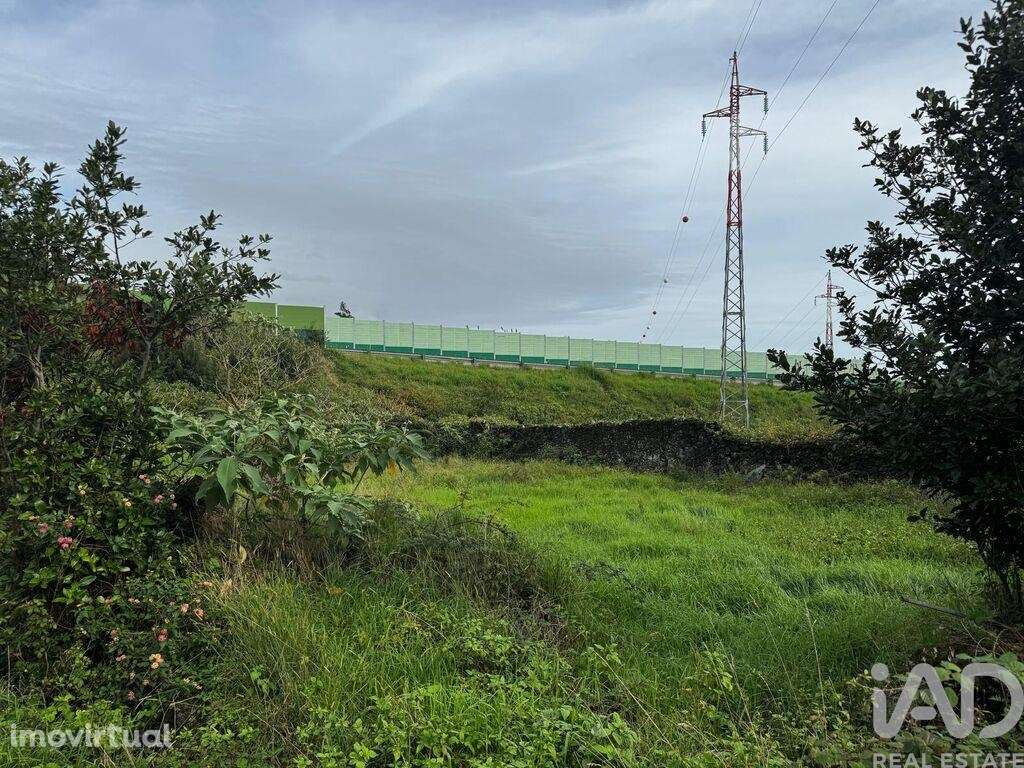 Terreno Agrícola em Lagoa (Nossa Senhora do Rosário) - Grande imagem: 4/4