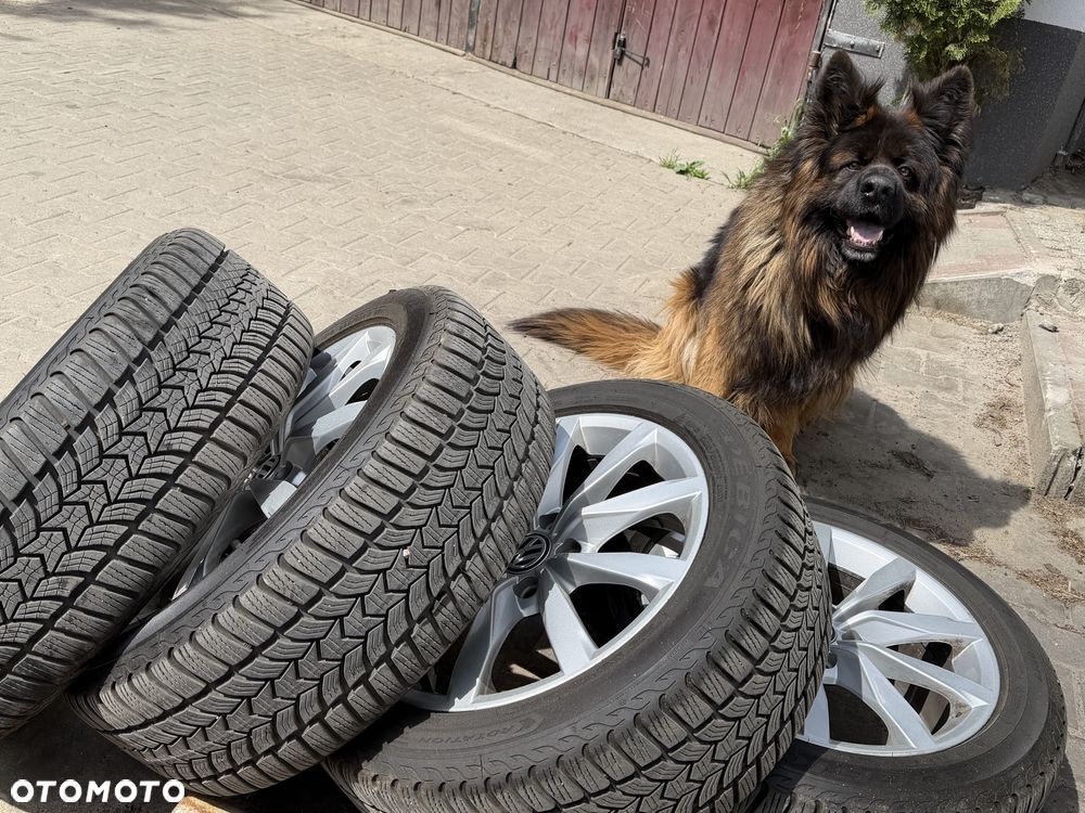 Volkswagen Golf - 8