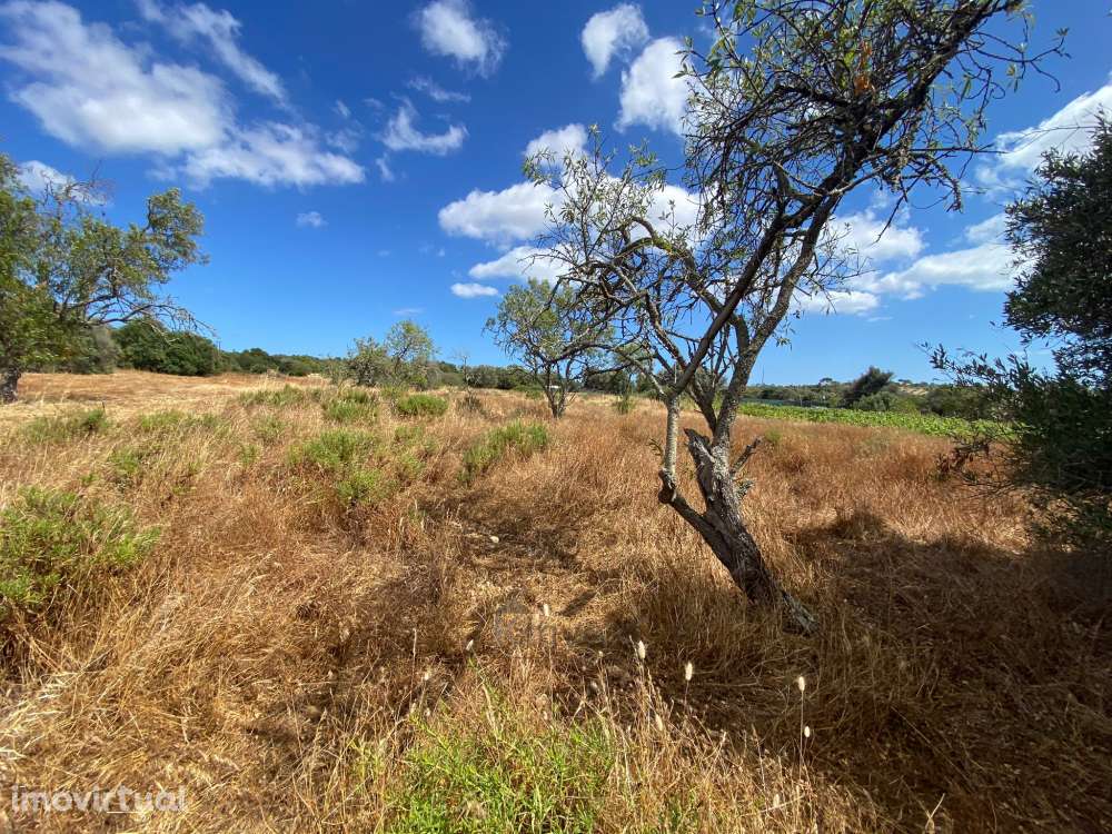 Terreno Misto com Ruína -  Barão de São Miguel, Vila do Bispo - Grande imagem: 5/24