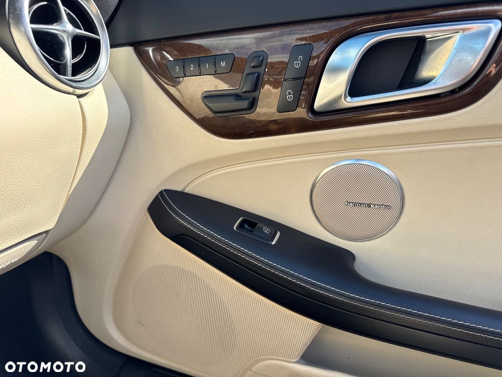 Mercedes-Benz SLK 250 (BlueEFFICIENCY) 7G-TRONIC - 17