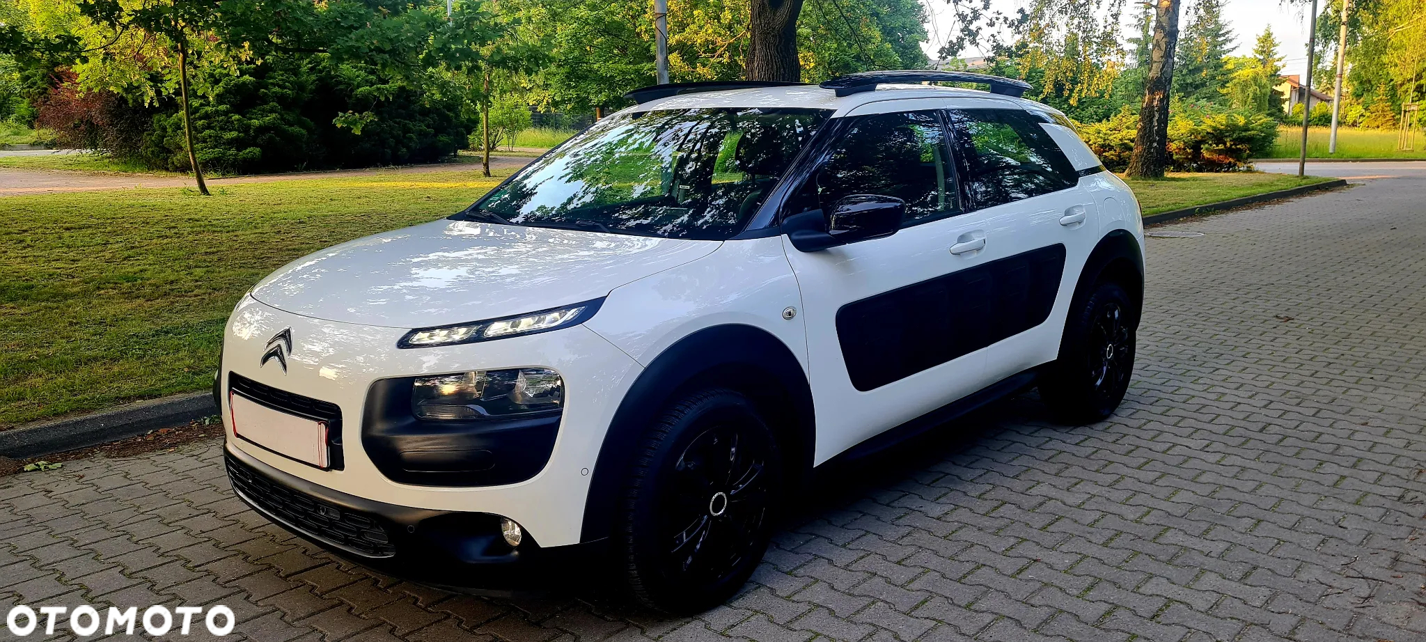 Citroën C4 Cactus 1.2 PureTech GPF Shine Pack S&S - 7