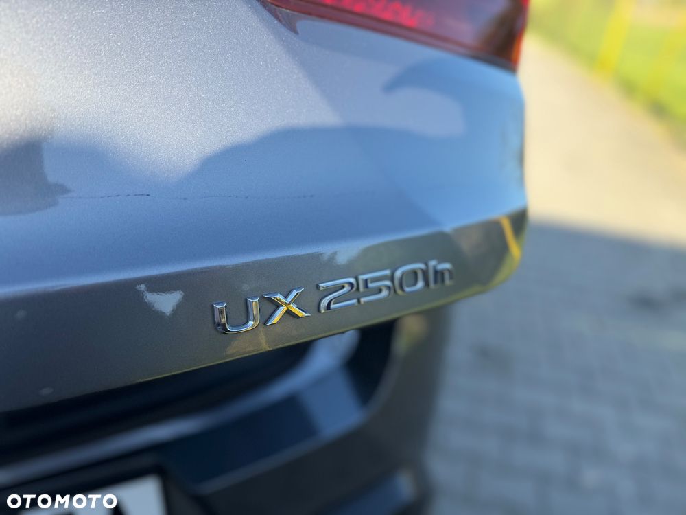 Lexus UX 250h GPF Elegance 2WD - 15