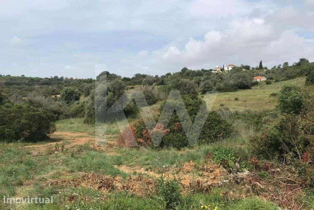 Oportunidade Única! Terreno Rústico de 34.370m2 em Porches Velho com C - Grande imagem: 3/9