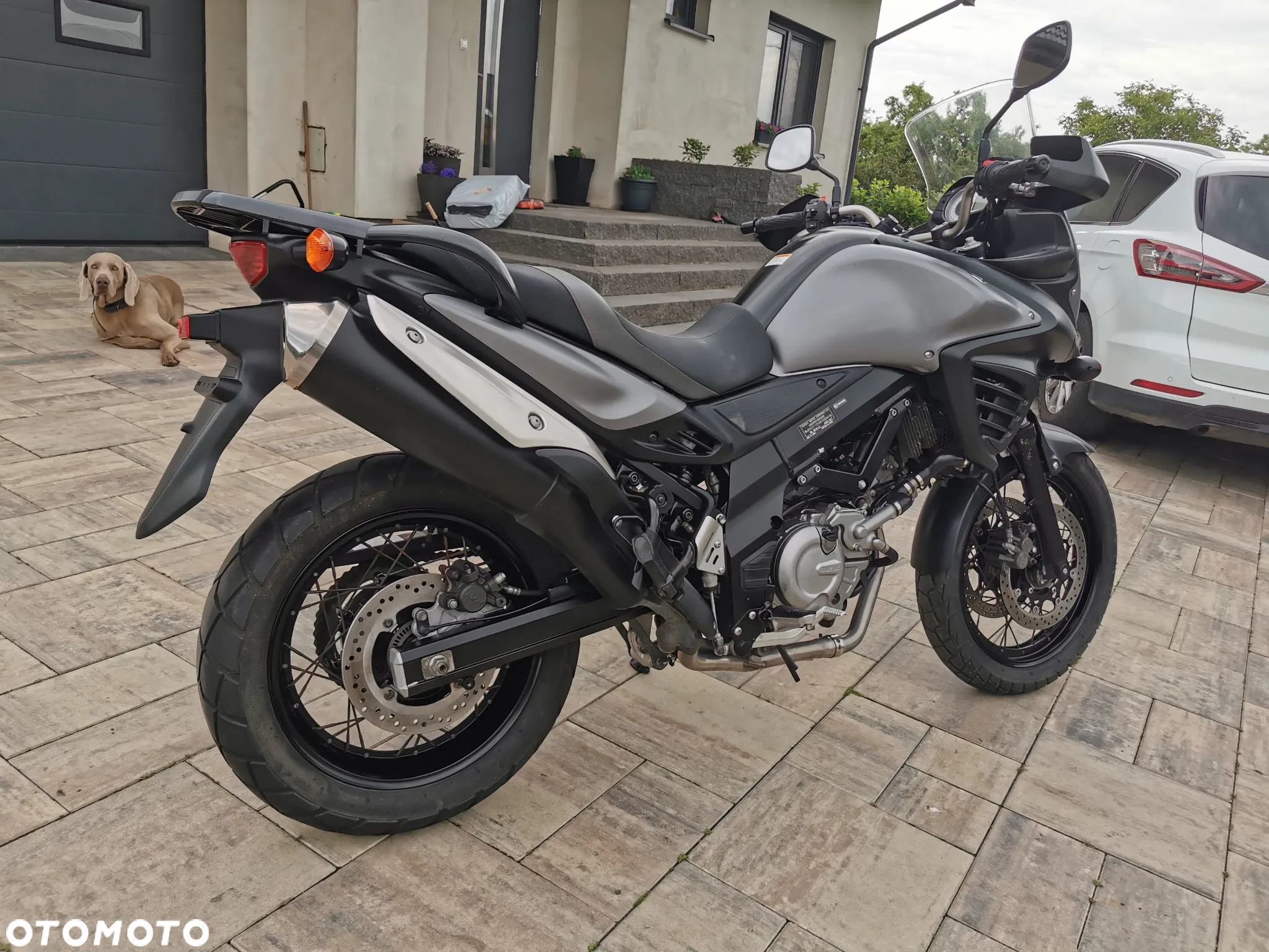 Suzuki DL - 7