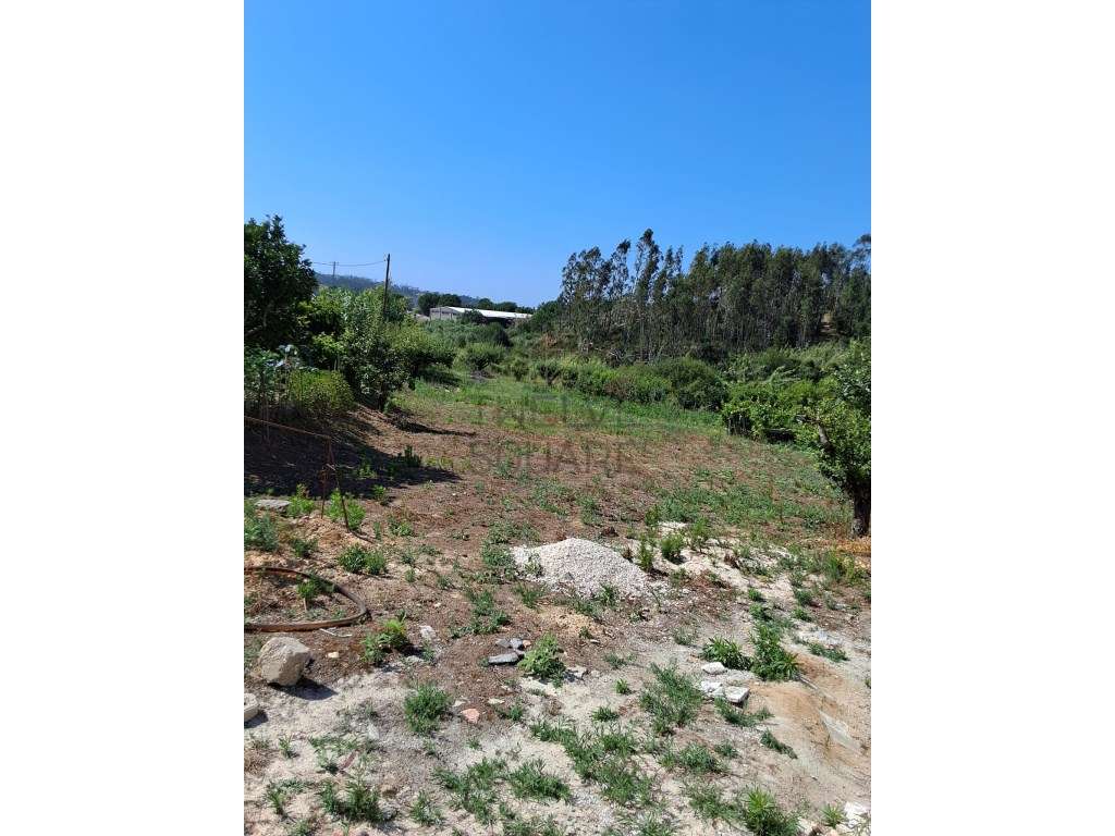 Terreno para Construção com Projeto Aprovado licença de construção ... - Grande imagem: 5/11