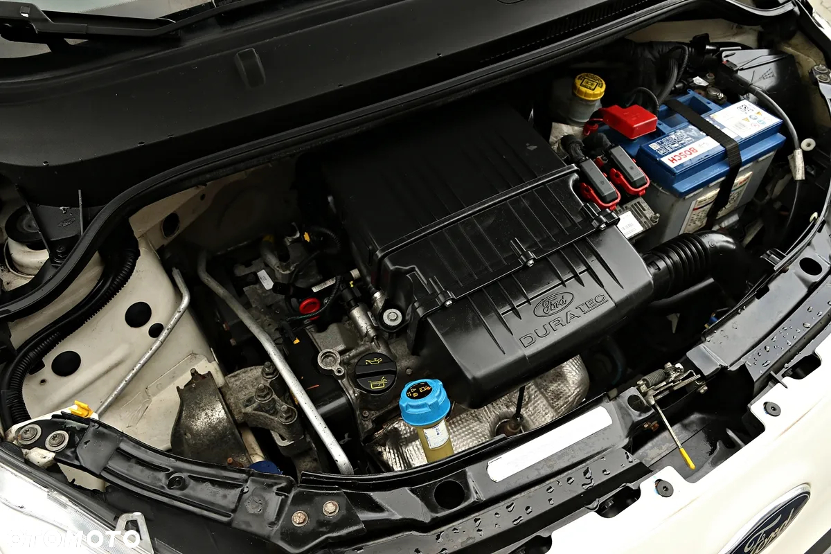 Ford KA - 38