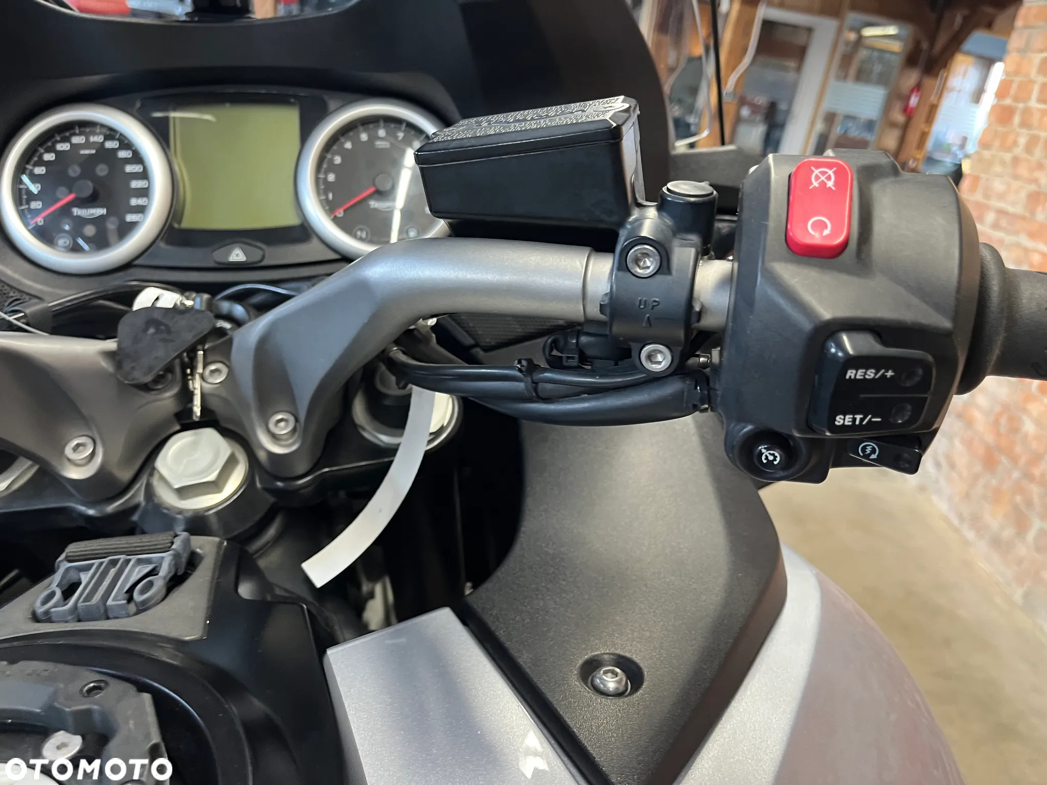 Triumph Trophy - 19