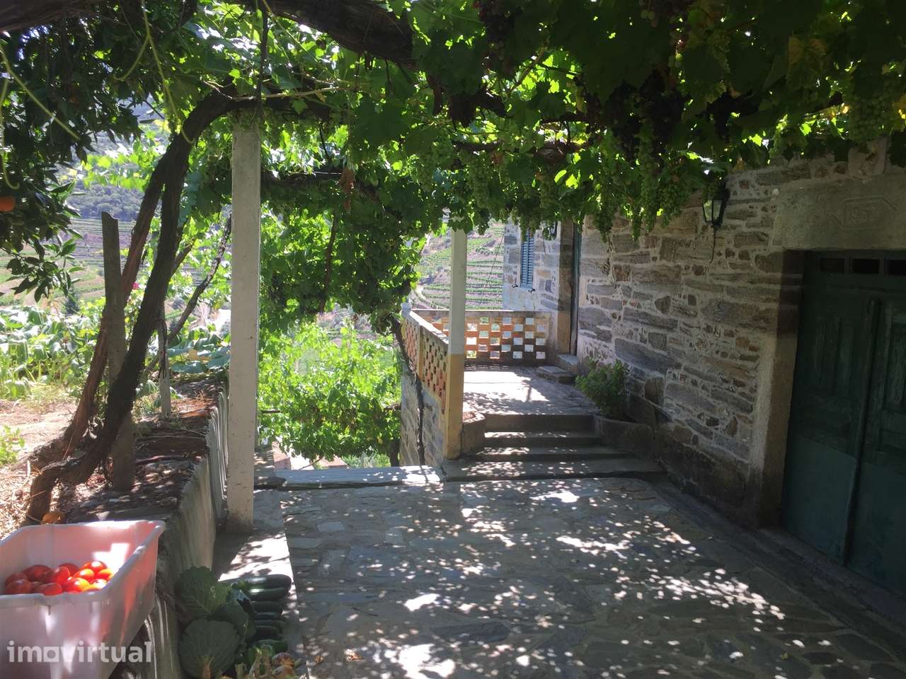 Quinta no Douro ao Pinhão - Grande imagem: 2/35