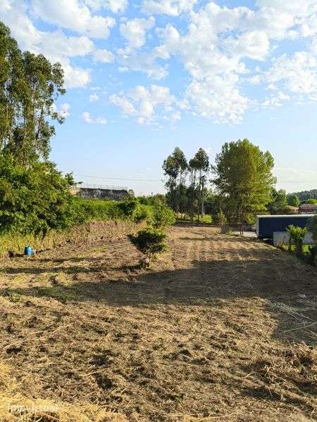 Terreno Agrícola de 1.900 m² em Mozelos, Santa Maria da Feira - Grande imagem: 2/2
