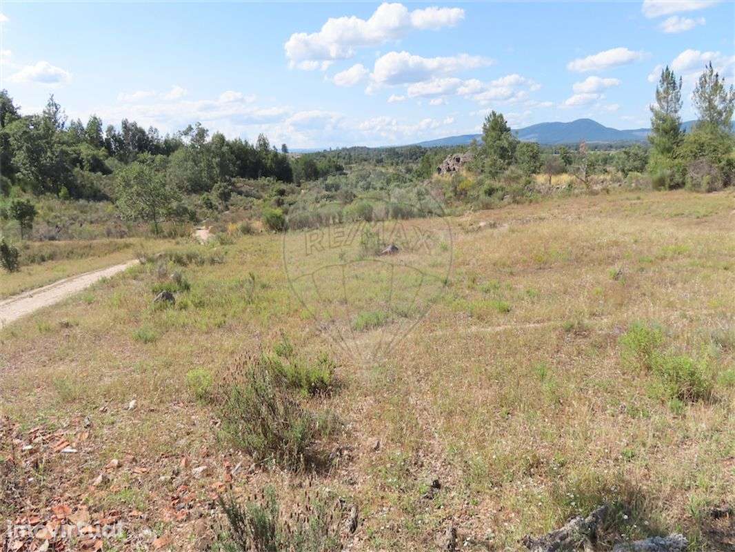 Quinta  para venda - Grande imagem: 2/22