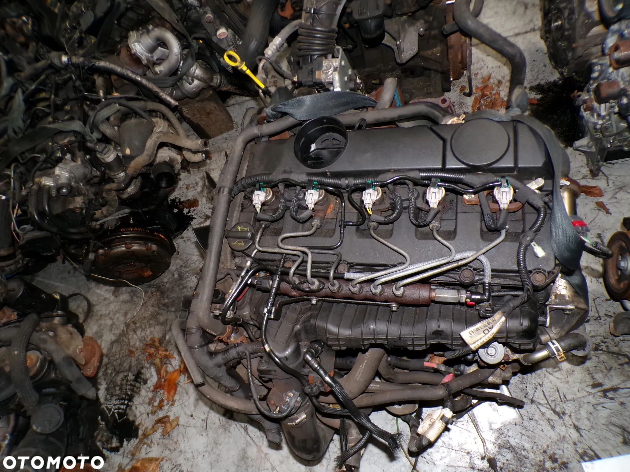Kompletny silnik Ford Transi 3.2 TDCI 140tyś km Gwarancja - 1