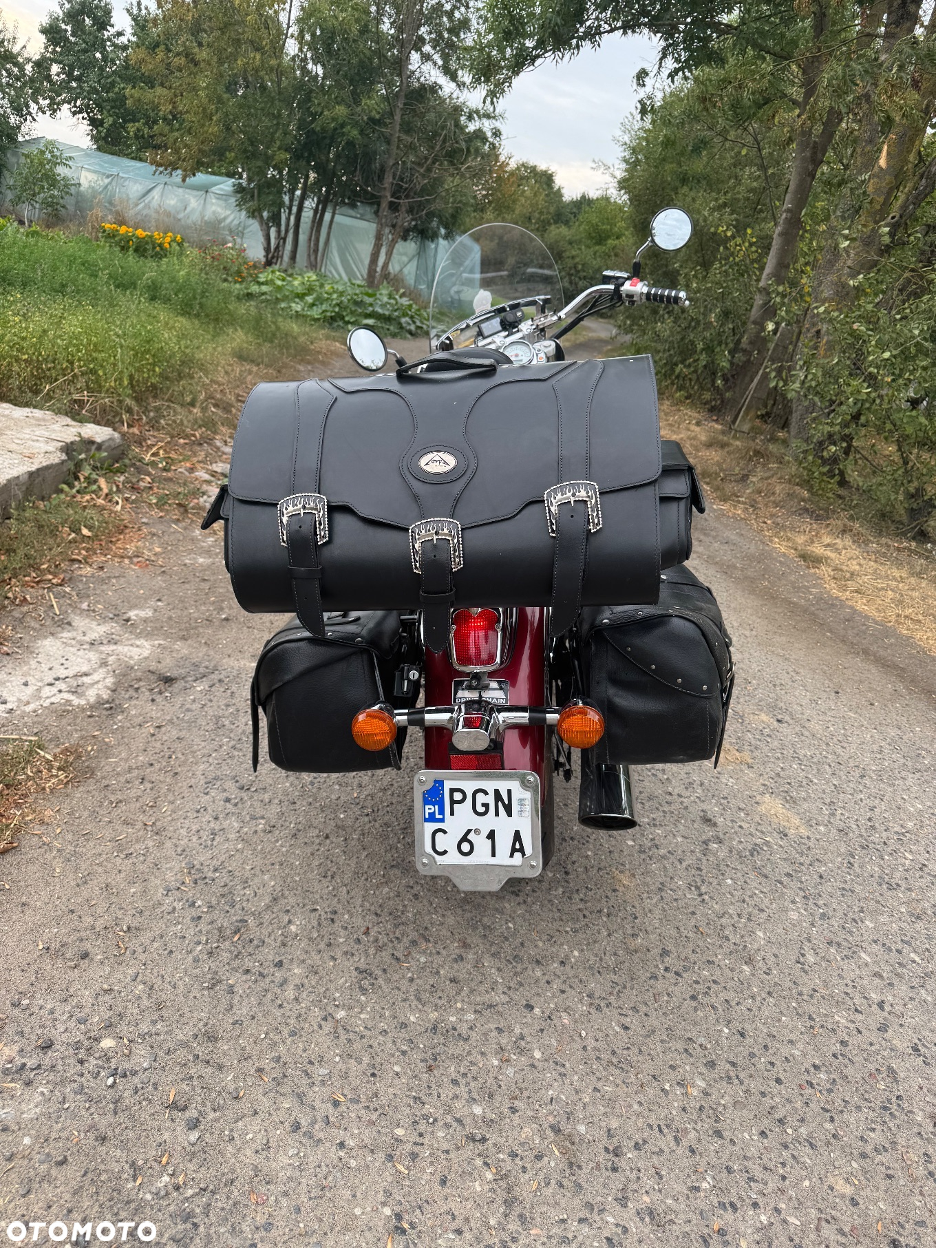 Honda Shadow - 5