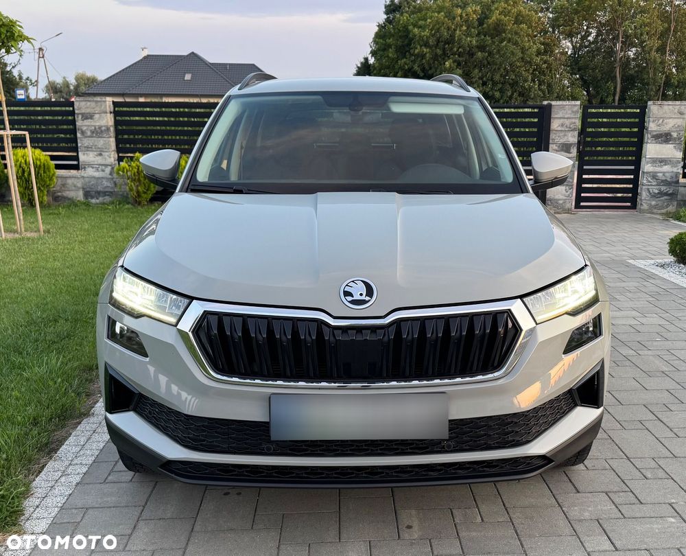 Skoda Karoq - 3