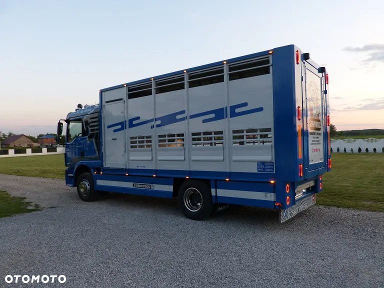 MAN TGM 15.250 DO ŻYWCA / ZWIERZĄT / BYDŁA / WAGA EL/. EURO 6 / DŁ. 5.20M /XENON - 9