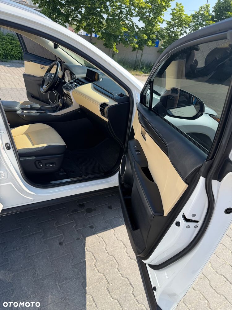 Lexus NX 300 Business Edition AWD - 23