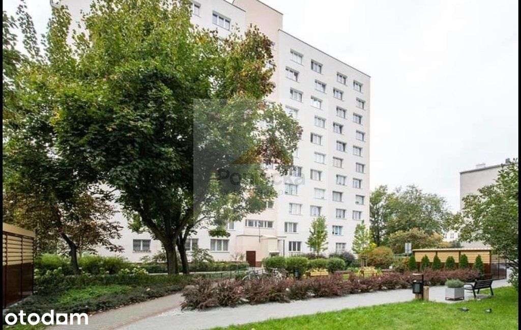 Po Generalnym Remoncie_Czynsz W Cenie_Panorama