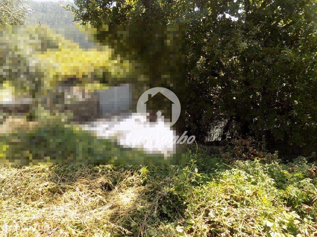 Terreno para construção com 778 m2  - Jesufrei - Grande imagem: 5/8