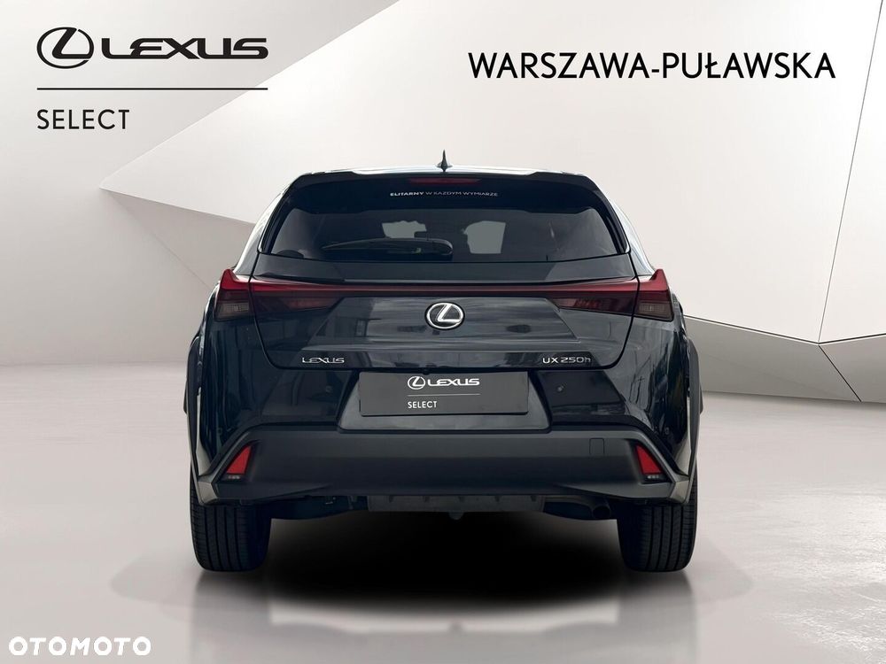Lexus UX 250h GPF Business 2WD - 4