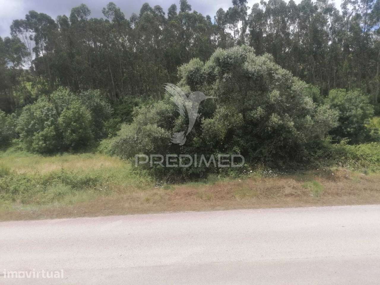 Terreno Rustico Chã - Sobral Monte agraço - Grande imagem: 3/33
