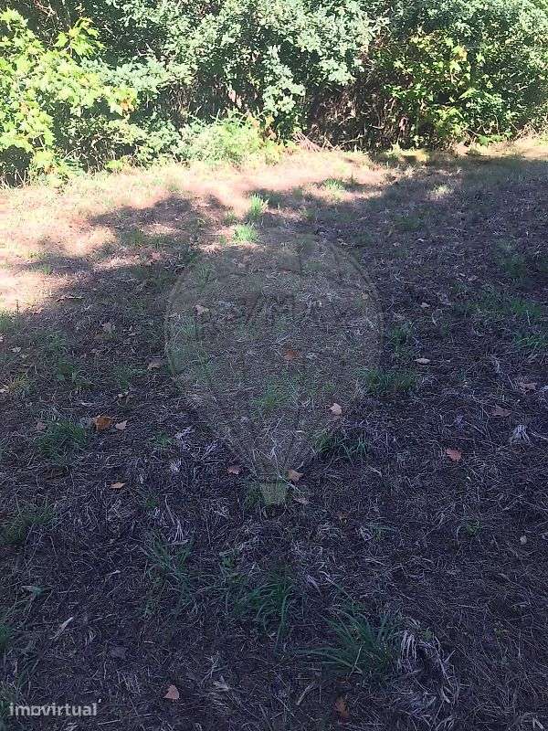 Terreno  para venda - Grande imagem: 5/12