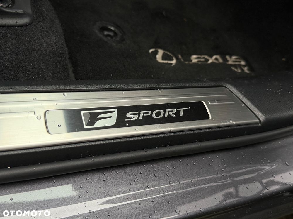 Lexus NX - 31