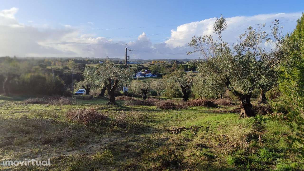 Terreno Agrícola em São Vicente do Paul, Santarém - 7080m² - Grande imagem: 2/18