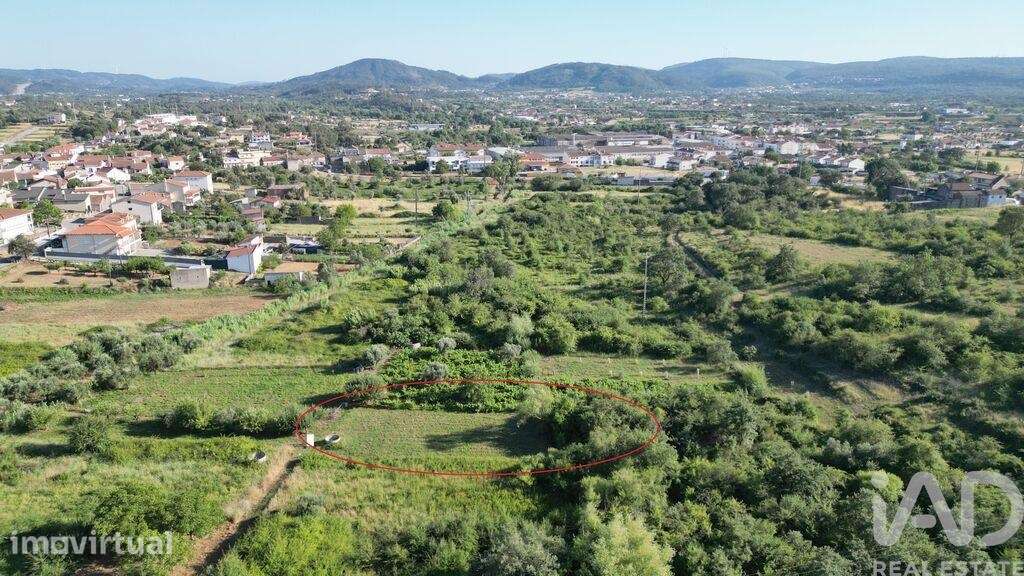 Terreno Agrícola em Avelar - Grande imagem: 5/19
