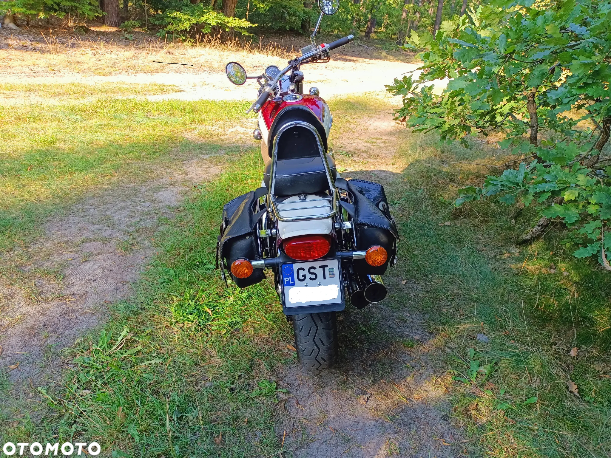 Suzuki Marauder - 4
