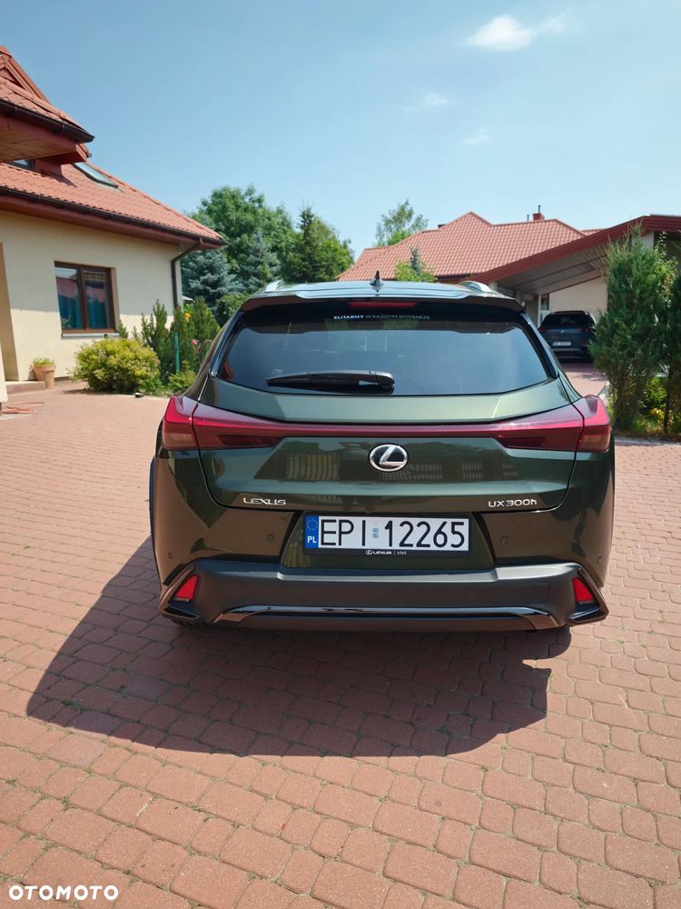 Lexus UX - 6