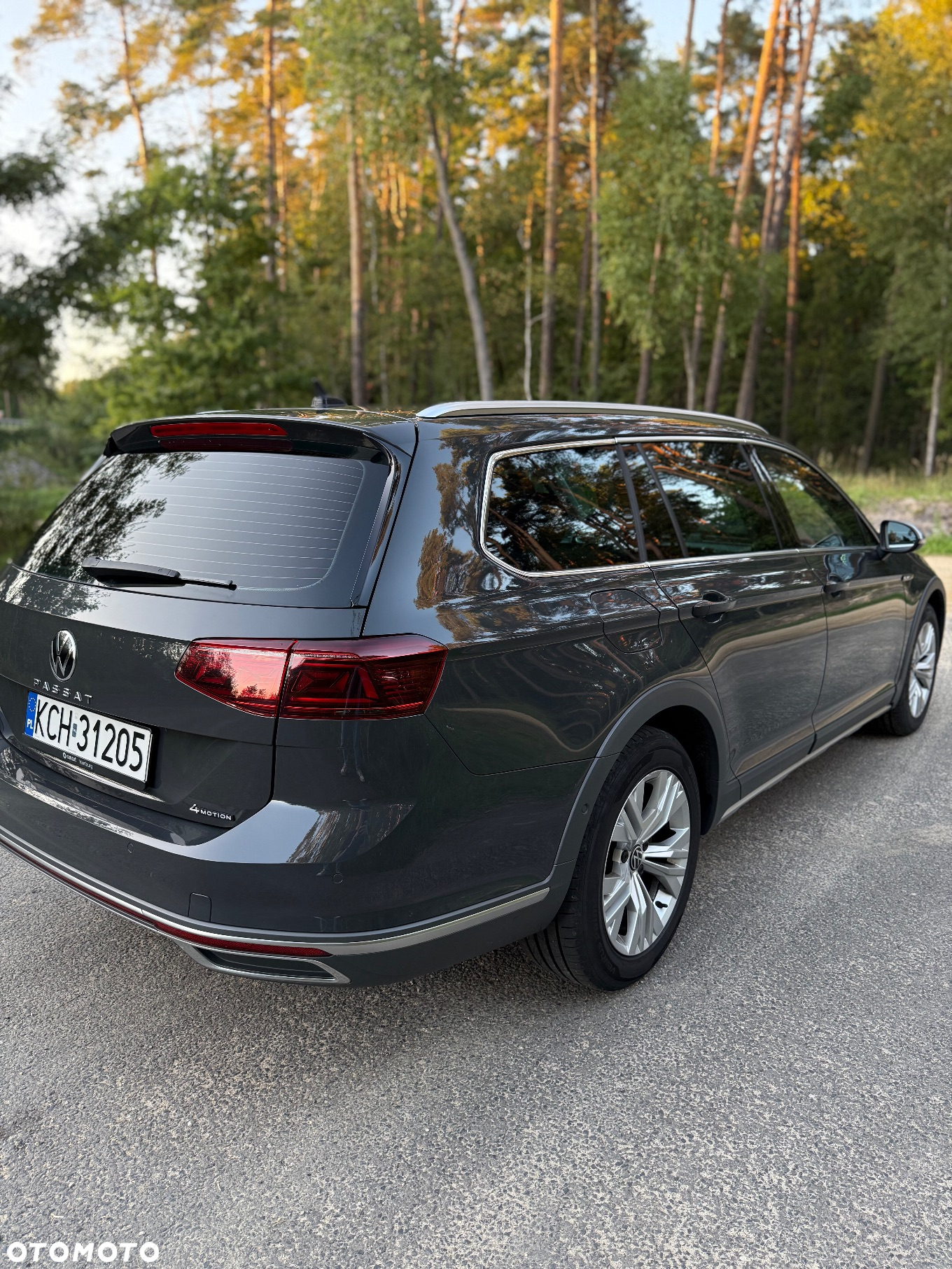 Volkswagen Passat Alltrack 2.0 TDI 4Mot DSG - 12