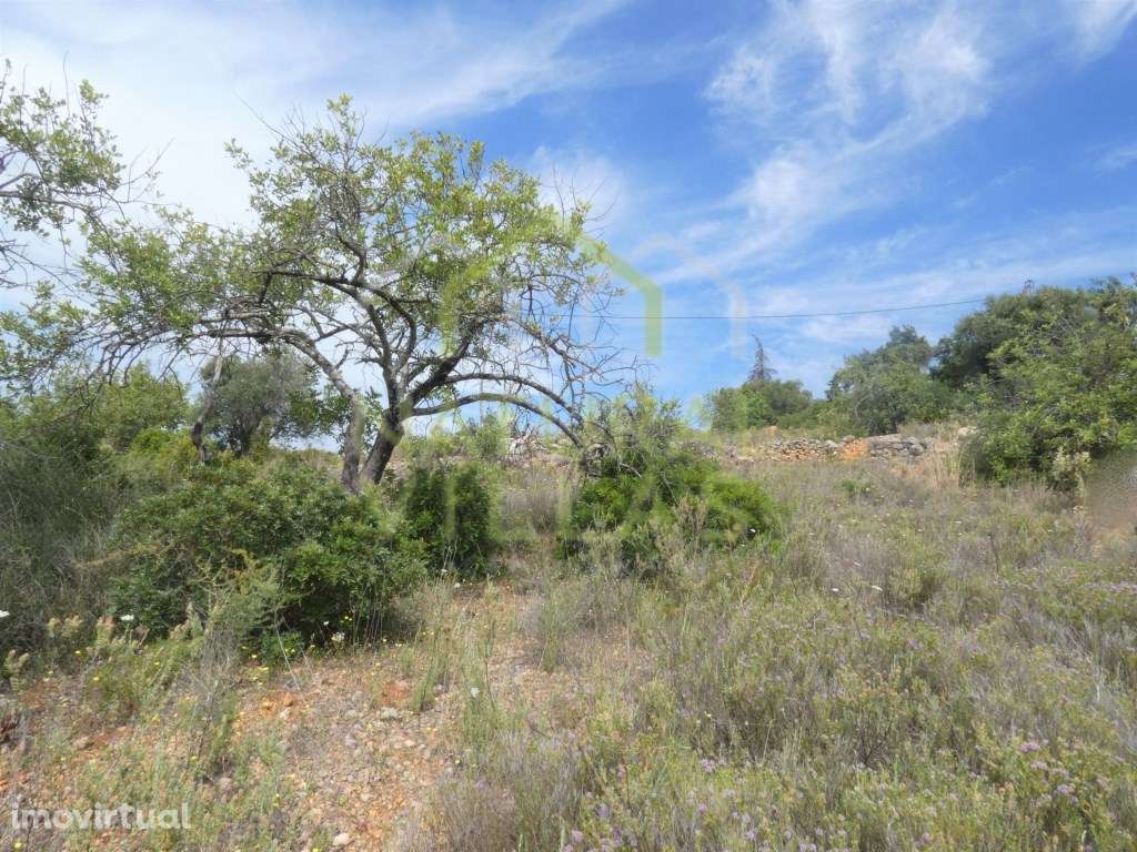 Terreno com Vista Mar Panorâmica em Santa Bárbara de Nexe - Grande imagem: 3/7