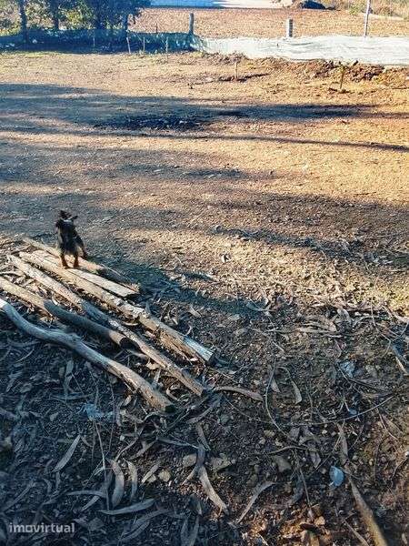 Terreno bom para lazer