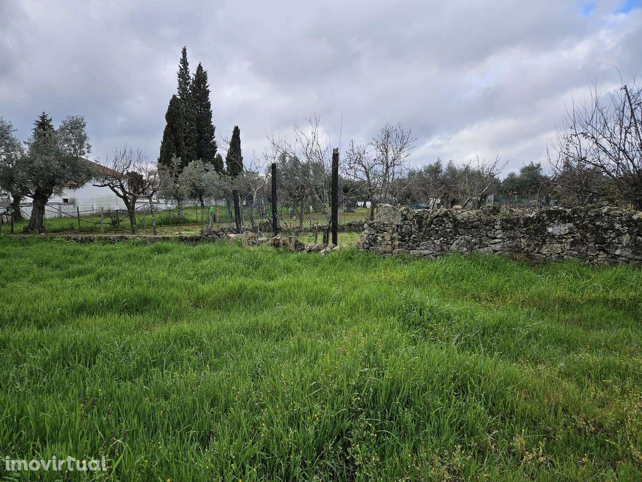 Quintinha na Lousa, Castelo Branco - Grande imagem: 2/41