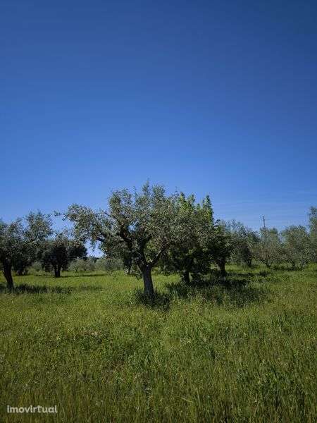 terreno rústico com parcela urbana - Grande imagem: 2/11