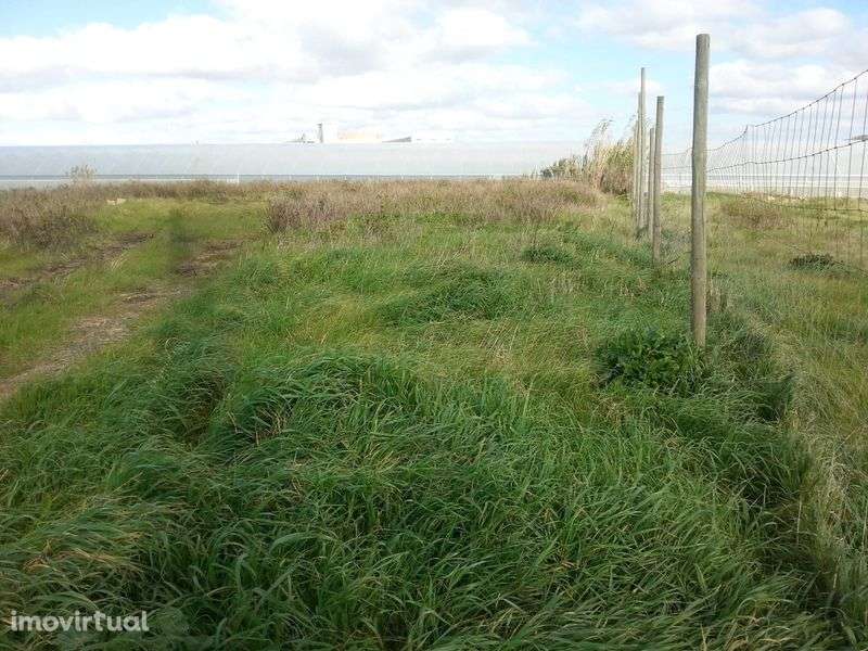 Terreno Boa Localização Peniche - Grande imagem: 3/7