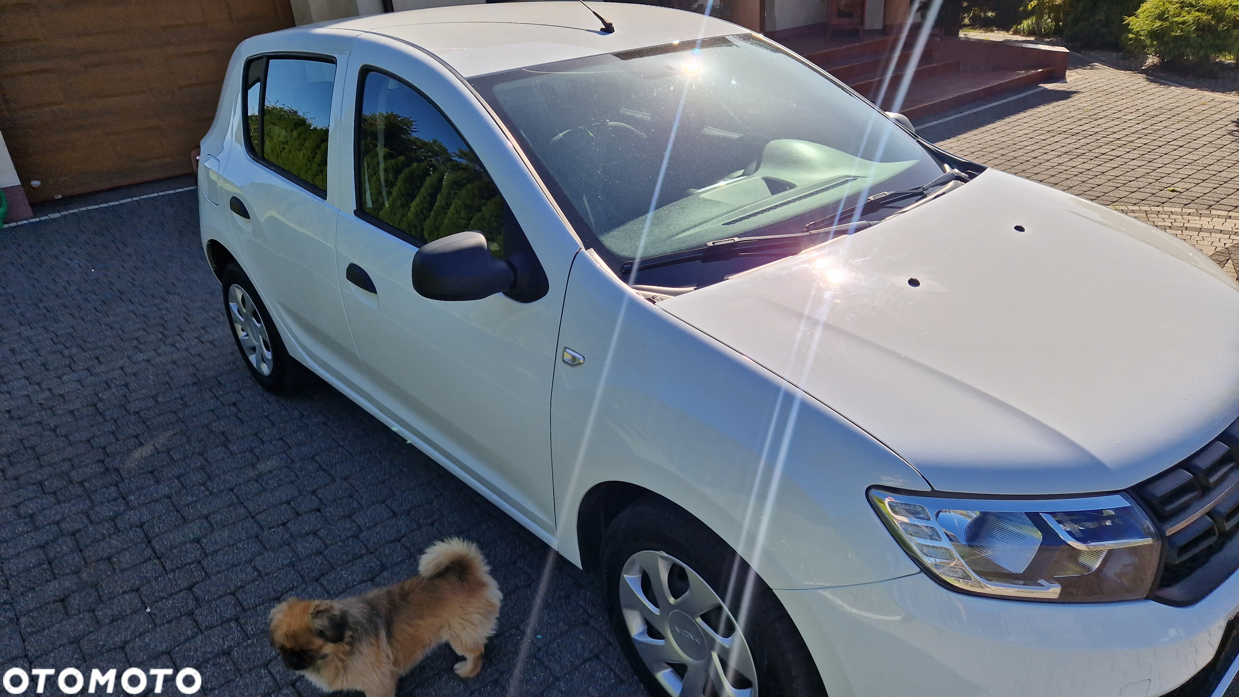 Dacia Sandero SCe 75 Comfort - 3