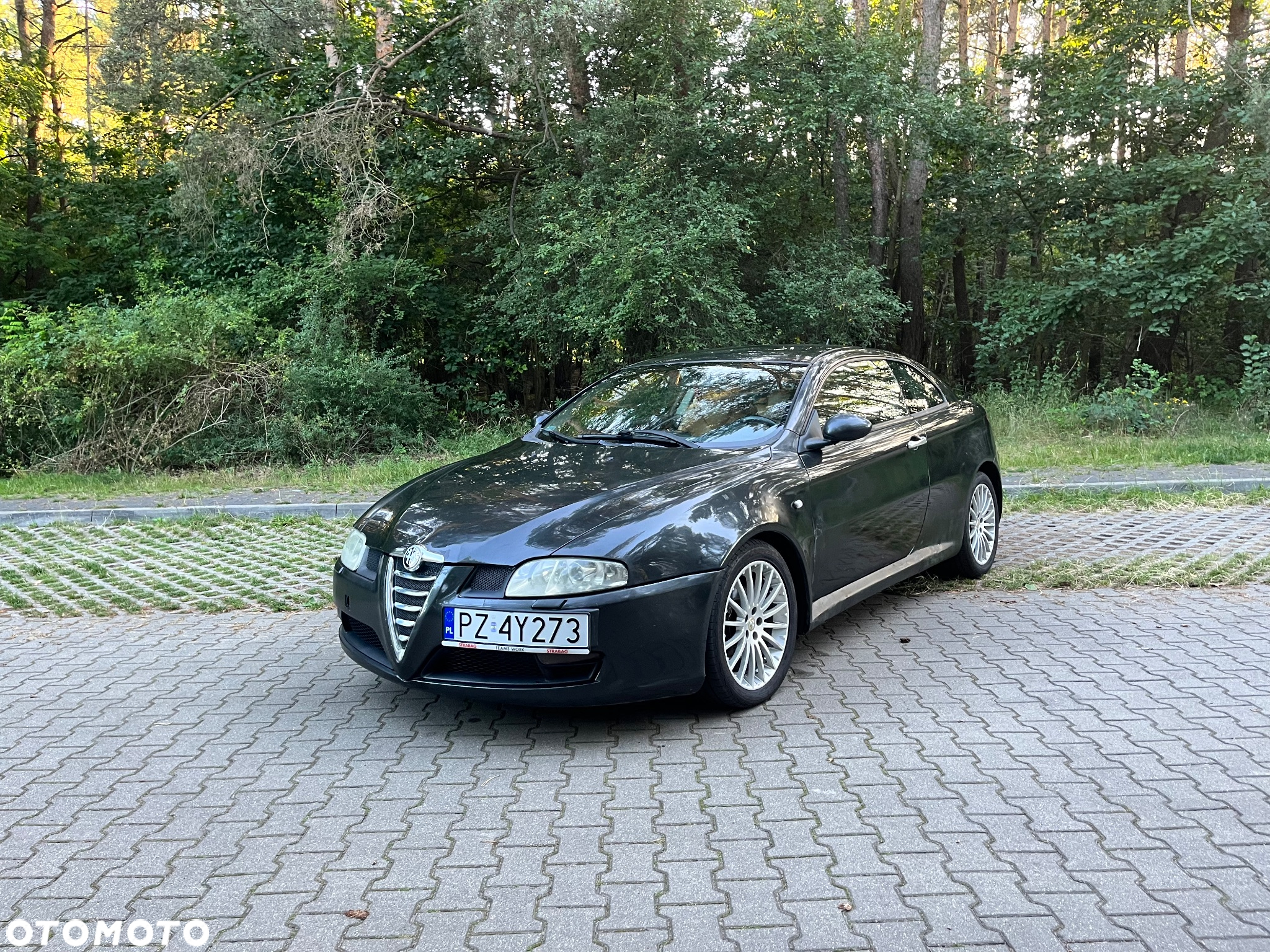 Alfa Romeo GT - 2