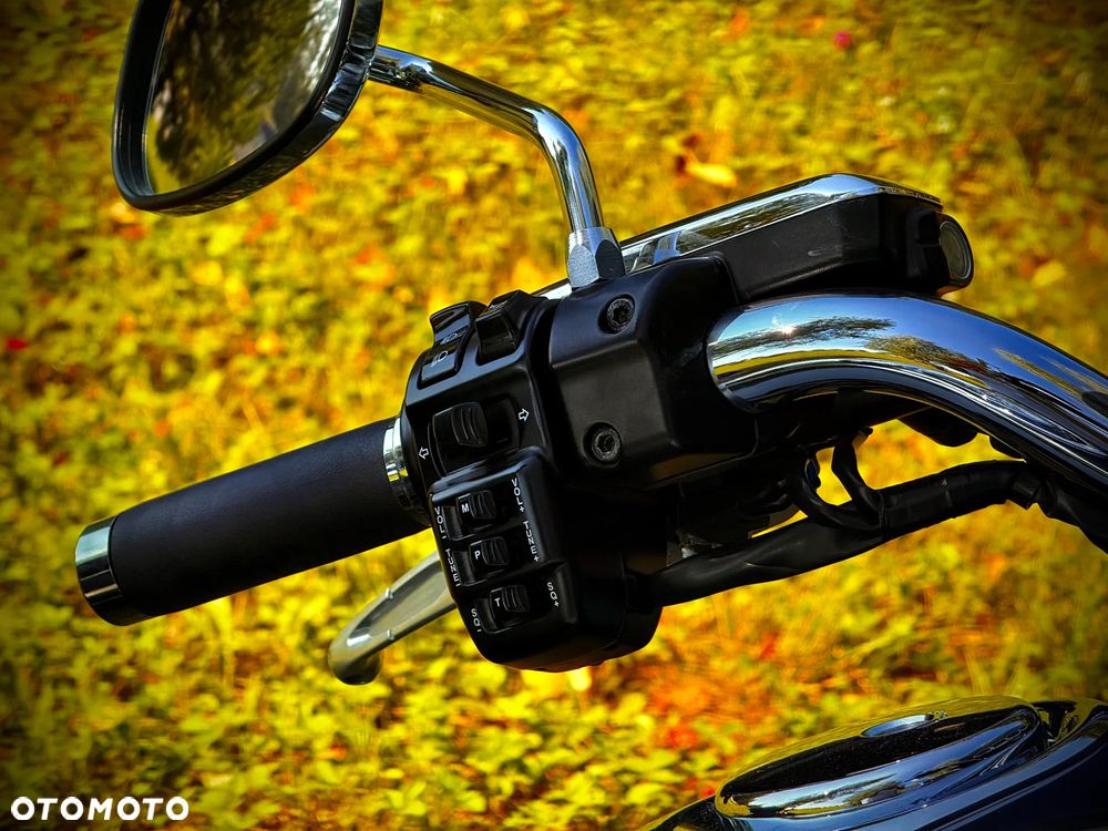 Kawasaki Vulcan - 31