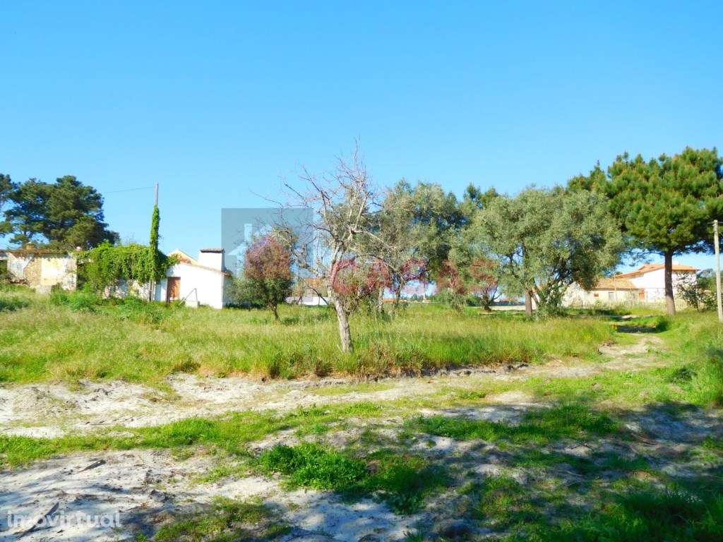 Terreno localizado perto da lagoa de obidos - Grande imagem: 4/14